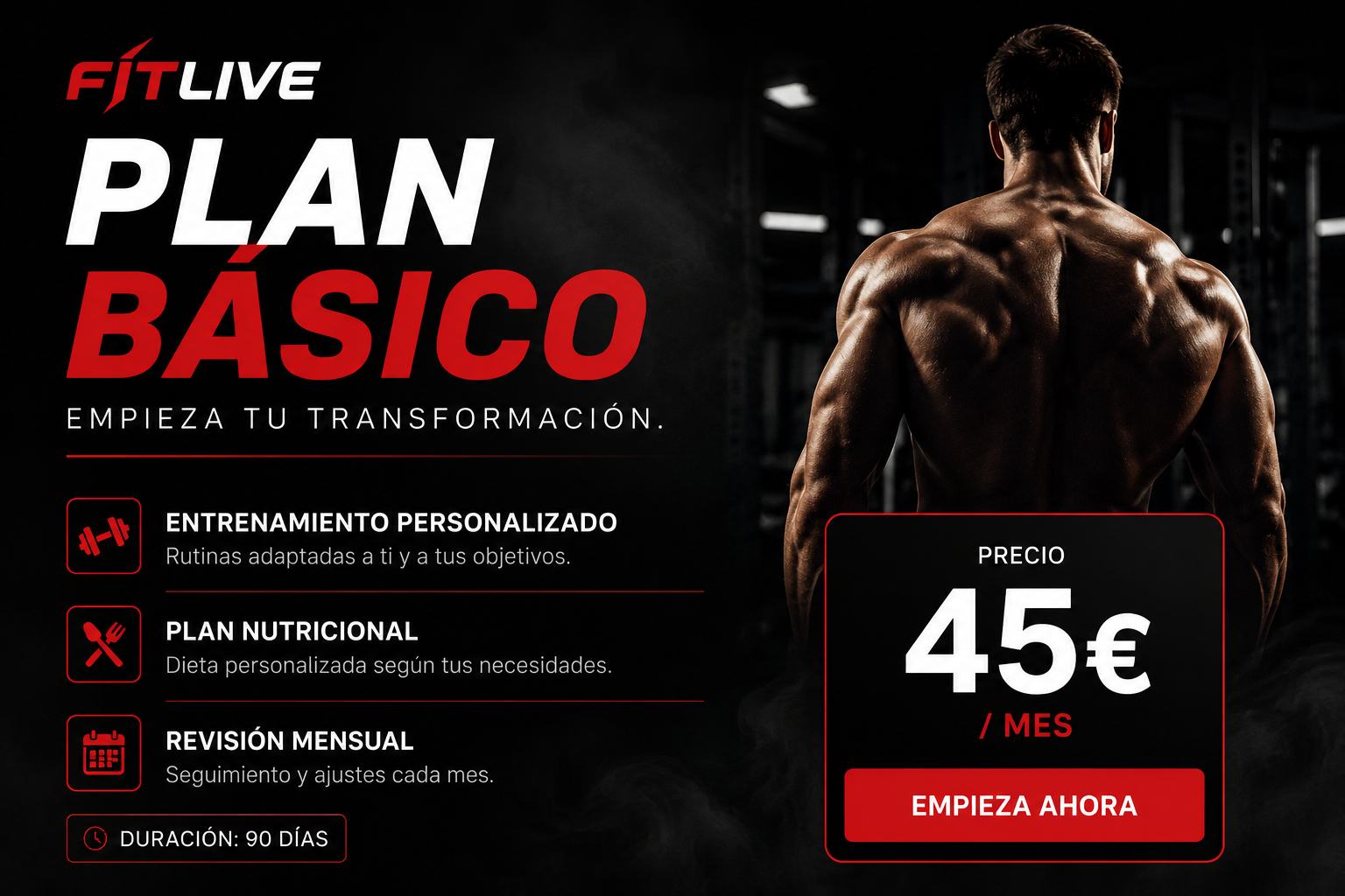 Plan Básico